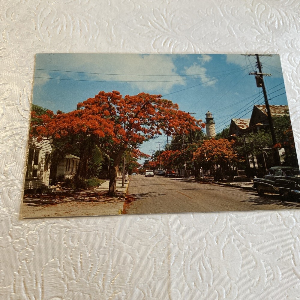 Vintage Key West Postcard Royal Poinciana Tree Simonton St Lighthouse Posted 60s